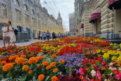 24 мая (воскресенье)